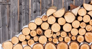 Купить дрова с доставкой: удобство, экономия времени и возможность
