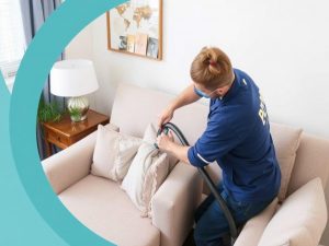 Как вернуть дивану жизнь: понятная и честная инструкция по химчистке мебели