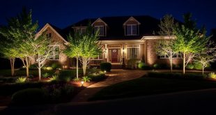 Как превратить участок в волшебный сад после заката: практическое руководство по ландшафтному освещению